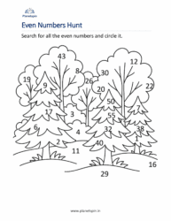 Even numbers worksheet