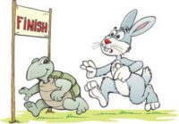 The hare and the tortoise