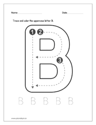 Trace and color the uppercase letter B