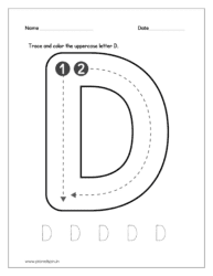 Trace and color the uppercase letter D