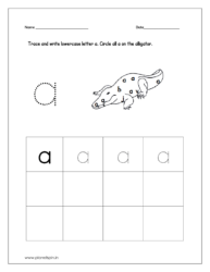 Trace and write lowercase letter a and circle all a on the alligator.