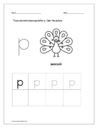 Trace and write the lowercase letter p. Then color the picture (peacock).