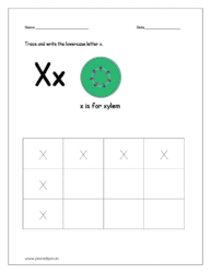 Trace and write the lowercase letter x