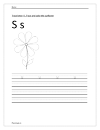 Trace and write the small letter s. Trace and color the sunflower