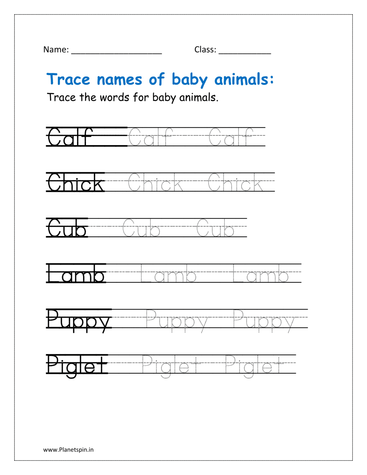 Animals and their young ones worksheet | Planetspin.in