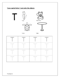 T: Trace letter T. Color tulip, teddy-bear, tortoise and table