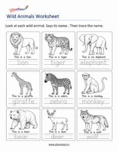 Identify wild animals worksheet