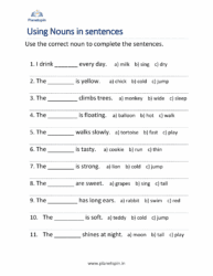 Using nouns in sentences