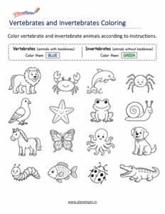 Vertebrates and invertebrates coloring worksheet for Grade 1