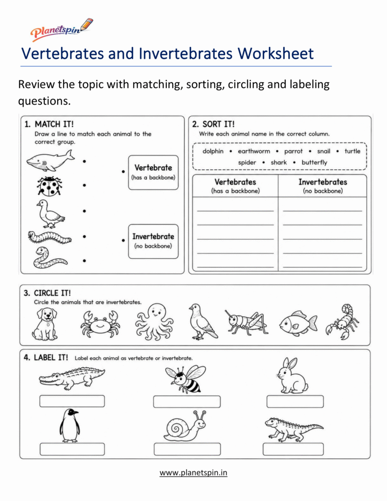 Vertebrates and invertebrates review worksheet for first grade
