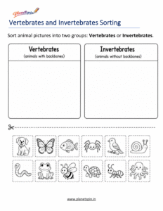Grade 1 vertebrate and invertebrate animal sorting worksheet