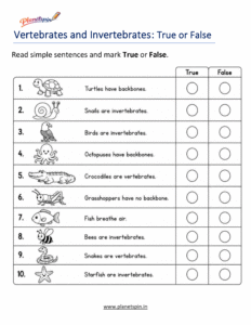 Grade 1 vertebrate or invertebrate science activity