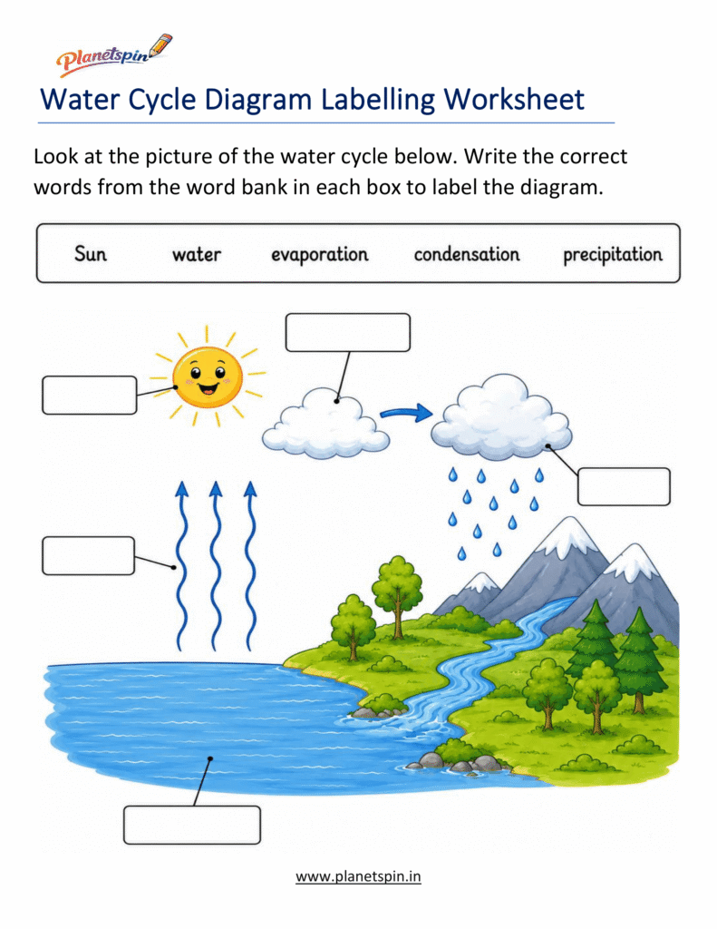 Water cycle labeling worksheet