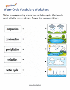 Water cycle science activity for grade 1