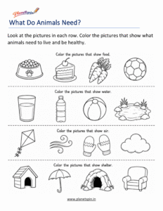 What animals need to survive worksheet