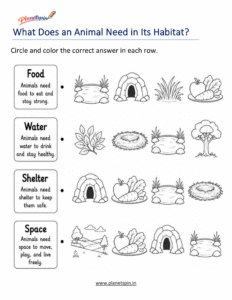 What animals need from their habitat worksheet