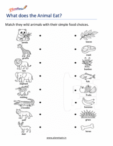 Wild animal matching worksheet for first grade