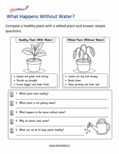 What happens without water plant worksheet for Grade 1