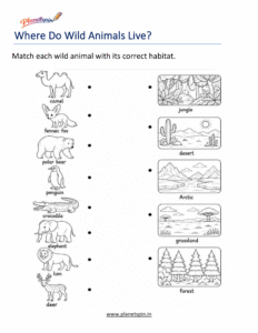 Match wild animals to their habitats worksheet