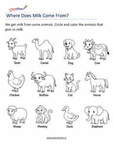 Grade 1 dairy food science worksheet