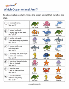 Circle the ocean animal worksheet for grade 1