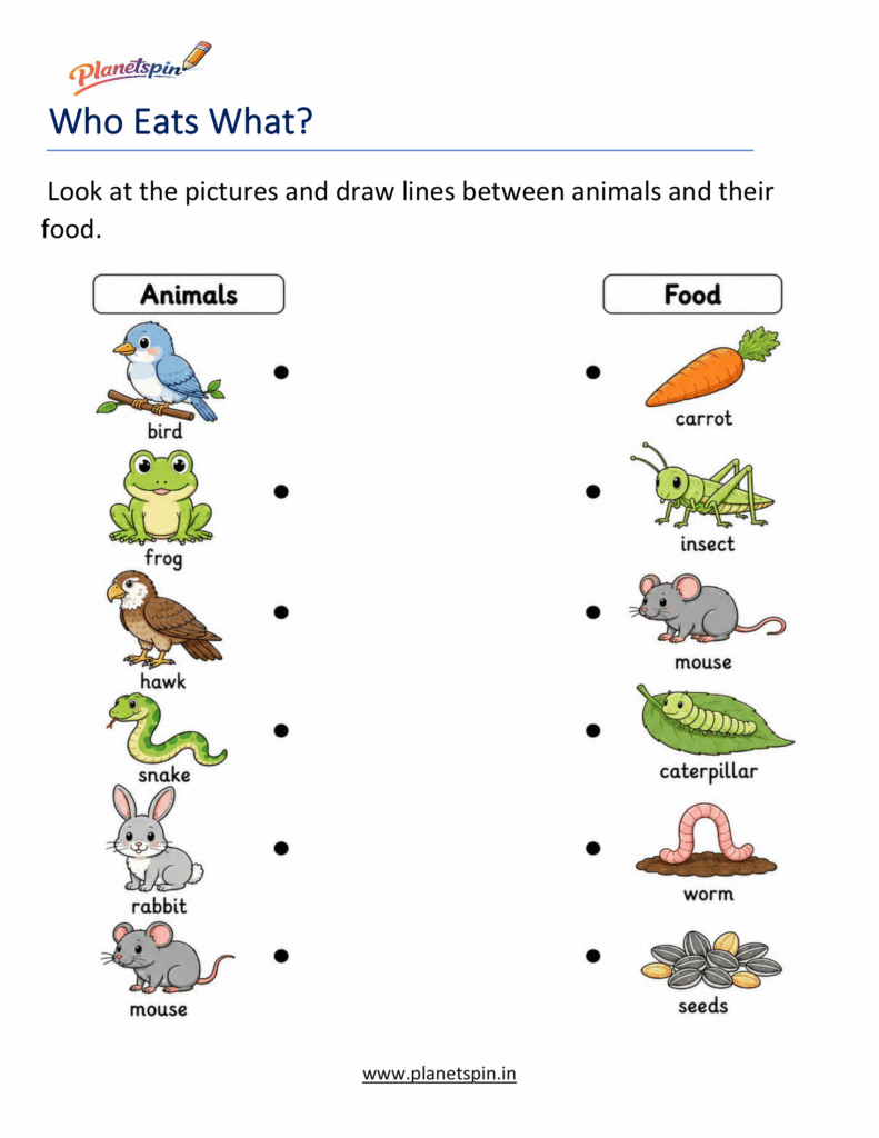 Food Chains Worksheets for Grade 1