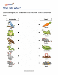 Food Chains Worksheets for Grade 1