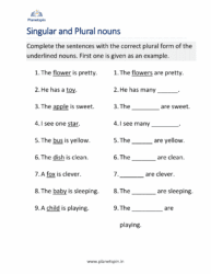 Singular and plural nouns
