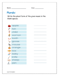 Write the plural form of the given nouns in the blank spaces