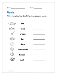 Write the plural words of the given singular words worksheet