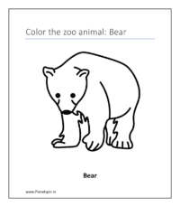 Bear (coloring pages about animals)
