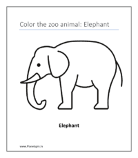 Elephant (coloring pages about animals)