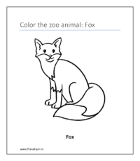 Fox (coloring pages about animals)
