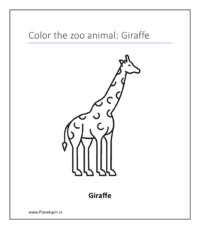 Giraffe (coloring pages about animals)