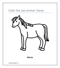 Horse (color wild animals)