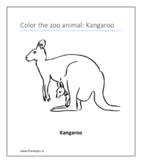 Kangaroo (color wild animals)