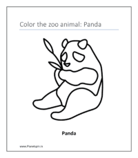 Panda (color wild animals)